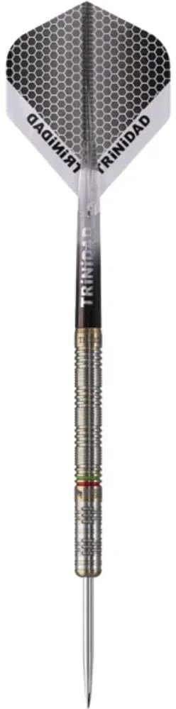 Trinidad Jose De Sousa Type 3 Limited Edition Steeldarts - 22g