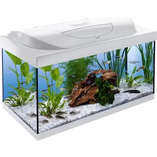 Tetra Starter Line 54,0 l Komplettaquarium mit Zubehör weiß