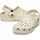 Bone 41-42