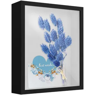 3D Bilderrahmen zum Befüllen, 22x27 cm Tiefer Bilderrahmen, Schattenbox Vitrine Rahmen mit Glasfenstertür Bilderrahmen, 3D Objektrahmen für Foto, Blumen, Erinnerungsstücke, Medaillen, Schwarz (5cm)