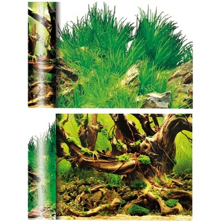 GEORPLAST FN2330 Doppelseitiger Hintergrund Manglar und Lagune, Weiß