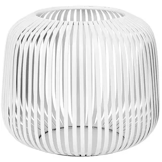white S