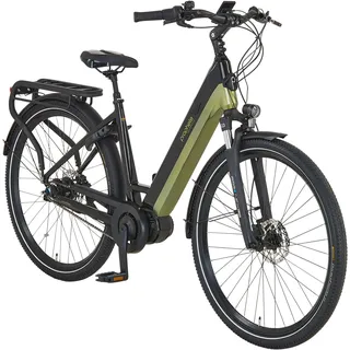 5.0 28 Zoll RH 48 cm Schwarz-Silbergrün