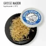 Grosse lebende Maden 30 gramm Angelköder