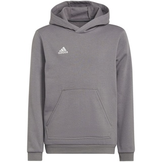 Adidas Entrada 22 Sweat, Kapuzenpullover, Team Grey Four, 7-8A, Unisex Kinder