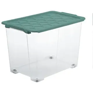 65l Kunststoff grün XL (Extra Large)