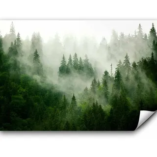 murando Fototapete selbstklebend Wald Nebel 392x280cm Foto Tapete Tapetenfolie Möbelfolie Wandverkleidung Wandtapete Motivtapeten Bildtapete Wohnzimmer 3d Effekt Modern Natur Landschaft skandinavisch