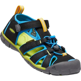 black/brilliant blue 29