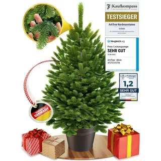 artitree Weihnachtsbaum künstlich Nordfichte im Topf 40 cm