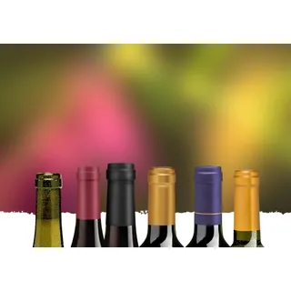 Überraschungspaket «Exklusive Weine» gemischt 6 Flaschen Wein aus reicher Natur zum Schnäppchenpreis, Bio Probierpakete