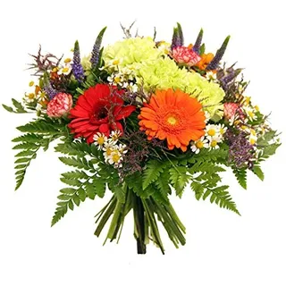 frische Blumen versenden zum Geburtstag - Lieferung in 1-2 Werktage - Blumenstrauß von Flora Trans - Farbspektrum -