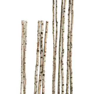 iWerk Birkenstamm 90 cm ø 2-4 cm ø Braun