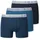 Shorts im Pack Serie 95/5 Unterhose Organic Cotton Blau 140
