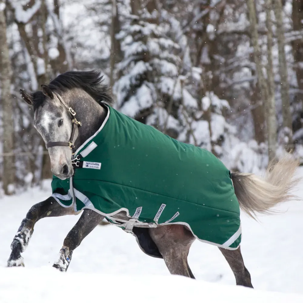 Horseware Rambo Original with Leg Arches Turnout Heavy 400g - Green/Silver, 140