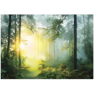 WallArena - Vlies Fototapete Wald 250x175 cm - Fototapeten - Tapeten - für Wohnzimmer Schlafzimmer - Vliestapete Wandtapete Tapete 3D Effekt- inkl. Kleister - Landschaft Natur Nebel Sonne