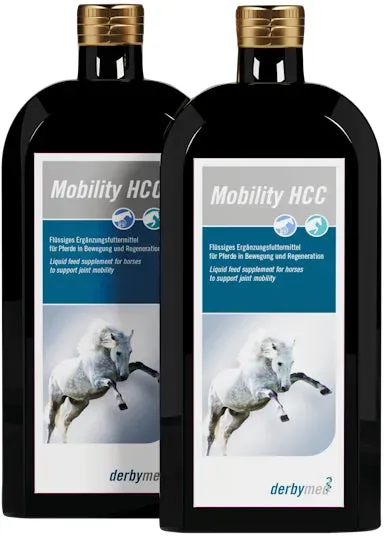 derbymed Mobility HCC 2x500ml