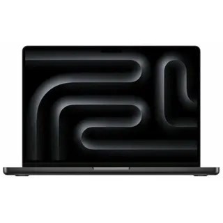 2024 M4 Pro 24 GB RAM 1 TB SSD 20-Core GPU Space Schwarz
