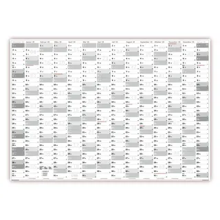 LYSCO XXL Wandkalender DIN A0 2025 (grau2) große Tageskästchen (Kalender werden gerollt versendet)