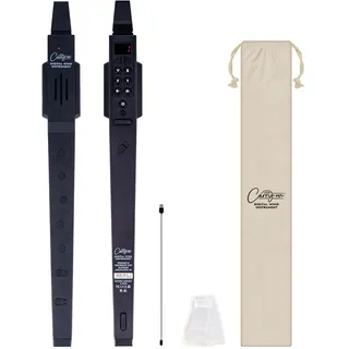 Carry-on by Blackstar Digitales Blasinstrument Schwarz - 10 Stimmen, integrierter, wiederaufladbarer USB-Akku, Kopfhörerausgang für leises Üben, Midi über Bluetooth, BA234012