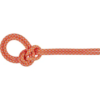 Mammut 8.7 Crag Sender Dry Kletterseil (Größe 60M, orange)