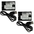 EXTENSILO 2x Akku kompatibel mit Blackmagic Pocket Cinema 4K Kamera (2250 mAh, 7,4 V, Li-Ion), USB-C Buchse