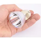 Nackte Lampe ACER P1303W NLMP19678