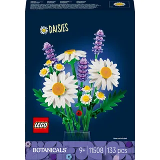 Gänseblümchen - 11508