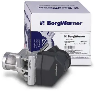 BorgWarner AGR-Ventil 710327D/1