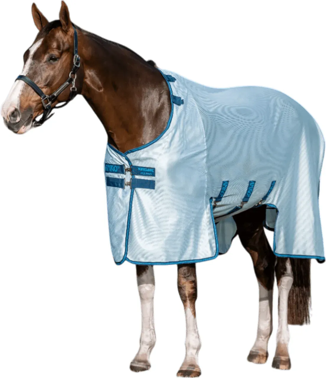 Fliegendecke Amigo Bug Buster Fliegenschutz Azure Blue/Navy & Electric Blue / 6'9 (155 cm)