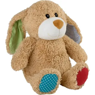 Baby-Hase