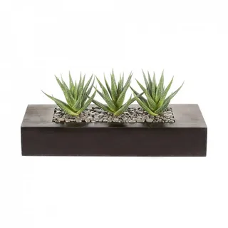fuchs versand 24/7 Kunstpflanze Holzkasten 36x15,5x6cm, m. Agave x3, H ca 16cm Kunstpflanze, Fuchs Versand 24/7