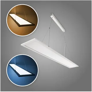 LED Universum LED Panel Decken- und Wandleuchte Ø60cm weiß 40W 4000lm weiß 3CCT warm-/neutral-/kaltweiß 3000/4000/6000K über DIP-Schalter wechselbar, IP20. integriertes Netzteil, L600xB600xH25mm