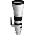Sigma 300-600m F4 DG OS Sports für Sony E-Mount