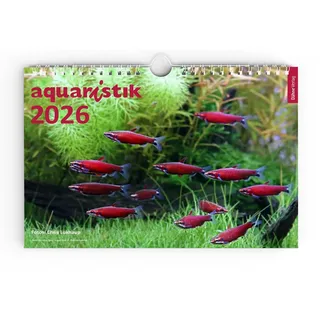 Dähne Verlag aquaristik 2026 - Foto-Wandkalender