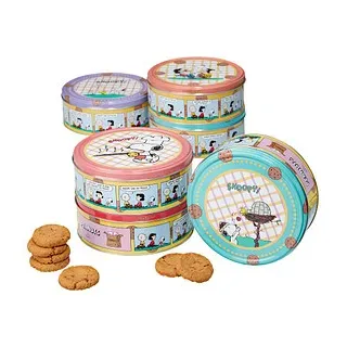 kompatible Ware Snoopy Keksdose Gebäck 150 g