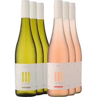 6er-PAKET »Gemischtes Doppel: III FREUNDE Alkoholfrei«