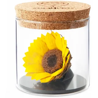 Amoroses Sunflo - Stabilisierte Sonnenblume Ewige Blume im Glas | Geschenkidee