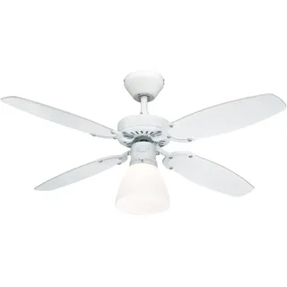 weiß/buche mit Licht