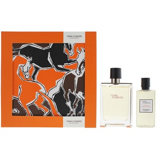 Hermès Terre d'Hermès Eau de Toilette 100 ml + Shower Gel 80 ml Geschenkset 2