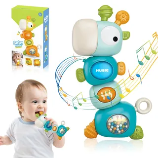 Baby spielzeug 1 jahr,Montessori spielzeug ab 1 jahr Musikalische Kinderspielzeug Motorikspielzeug Baby Spielzeug 6 Monate,Geburtstag Geschenk für Baby 6 9 12 Monate 1 2 3 Jahr