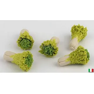 Original Broccoli-Set