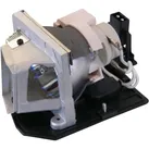 Kompatible Lampe OPTOMA HD20 LMP-K19124