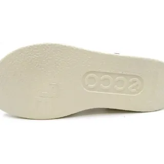 braun 36