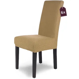 SCHEFFLER-Home Stuhlhussen Stretch Luna/Stuhlhussen Beige 6er Set/elastische Flanell Stuhlabdeckungen/Stuhlhussen Schwingstühle/Hussen Stuhl Überzieher mit Gummiband/Stuhlhussen Samt
