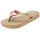 Rose Gold 25