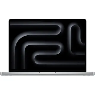 2024 M4 Pro 48 GB RAM 1 TB SSD 20-Core GPU Silber Z1FC-DE04