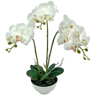 Kunstblume Kunstblume Orchidee in Schale Leilani Orchidee, NTK-Collection, Höhe 44 cm, Kunstpflanze, Dekoration, Orchidee weiß