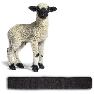 BigDean Zugluftstopper für Türen 100cm - 100% Schurwolle - Anthrazit - Türluftstopper Luftzugstopper Windstopper - Made in Germany