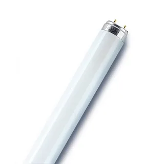 osram homelighting Osram Leuchtstoffröhre G13 - 30 W, 2400 Lumen, kaltweiß, 900 mm