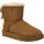 chestnut 38